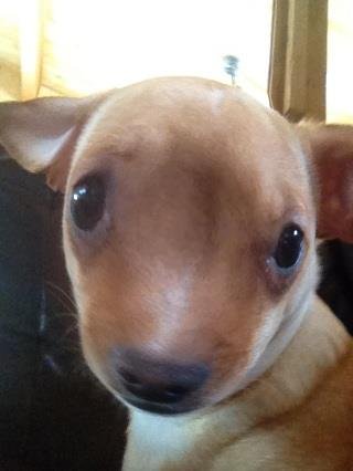 Brian Wallace's album, Photo Booth Pro Photos