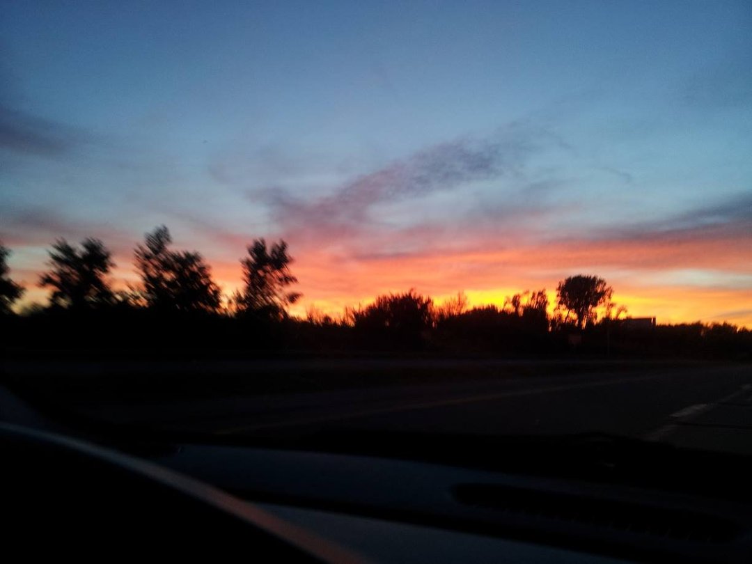 Margot Rathell's album, Mobile Uploads