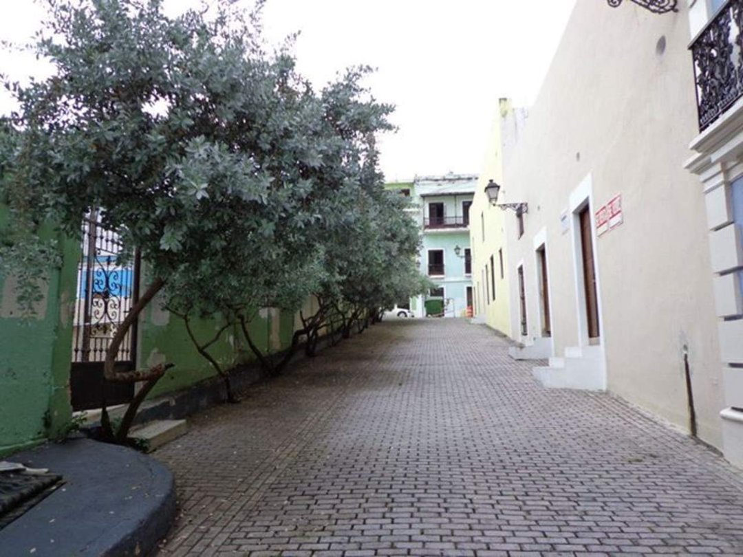 Chris Webber's album, Puerto Rico 2012