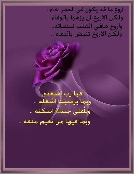 Rawan Halawi's album, Timeline Photos