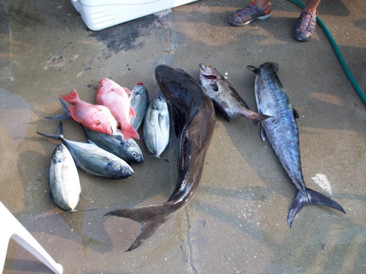 Jose Ojeda's album, fish