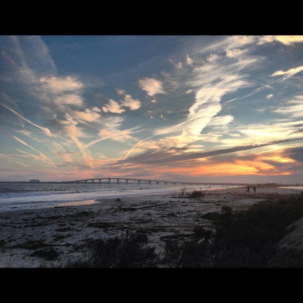 Jane Wilhelm's album, Cover Photos