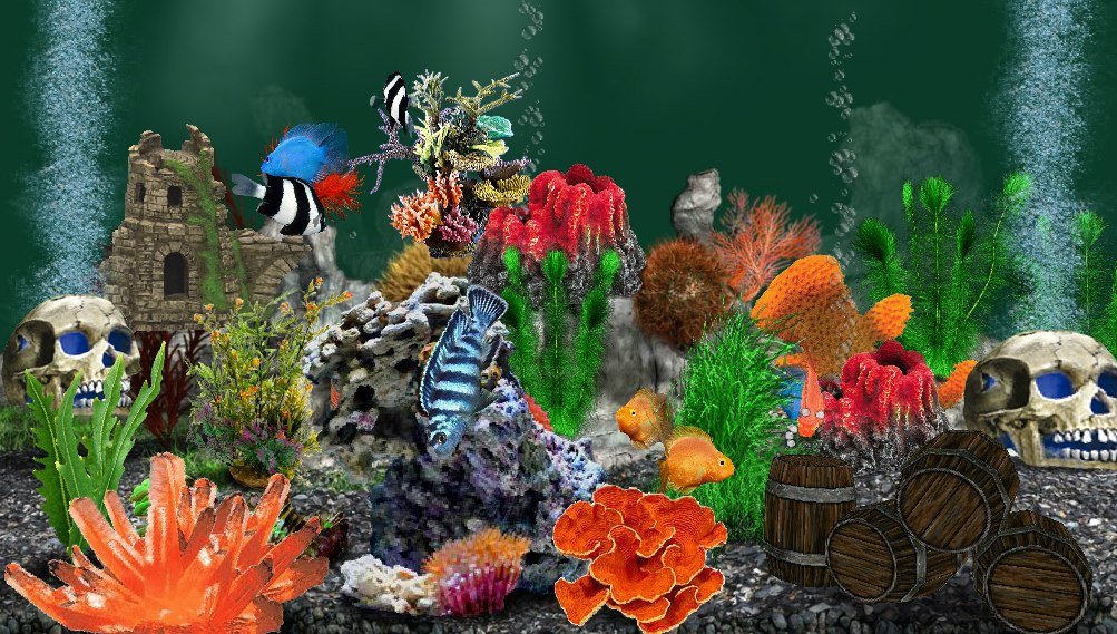 Rose Howell's album, AquaLife 3D Photos