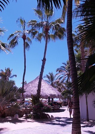 C. Allison Smyth's album, mexico