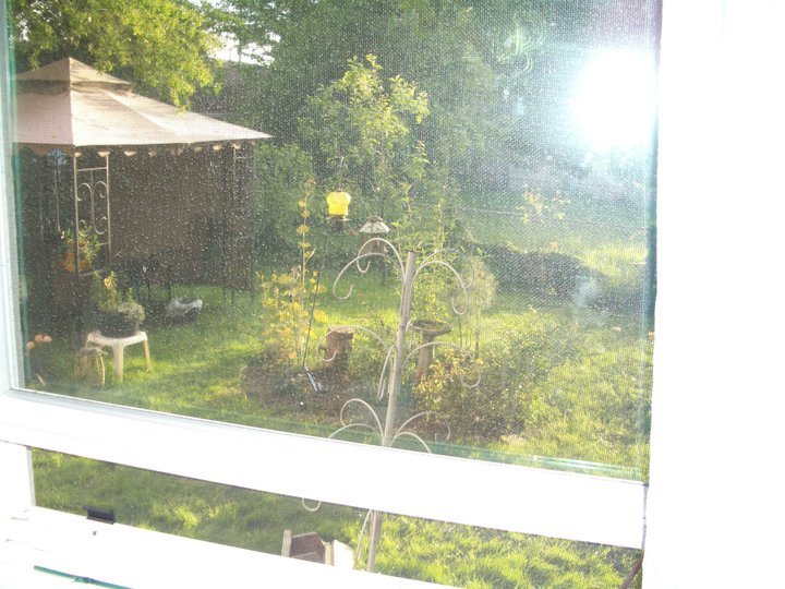 Joyce Baxter's album, Summer 2011