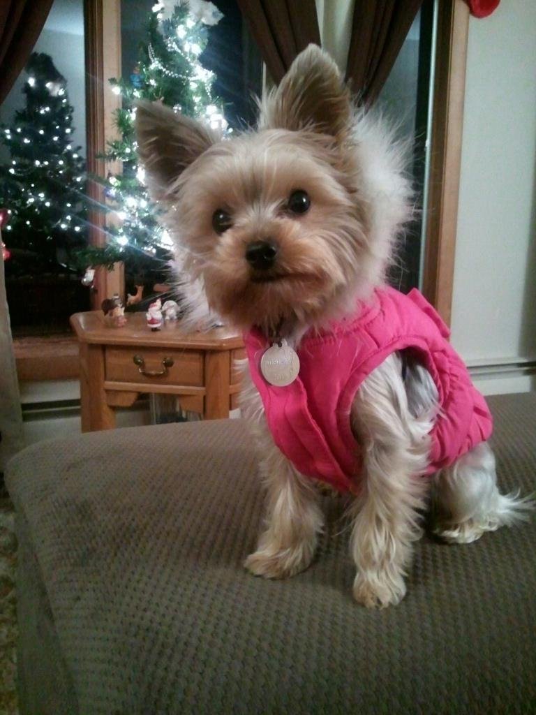 Stacey Bernier's album, Mobile Uploads