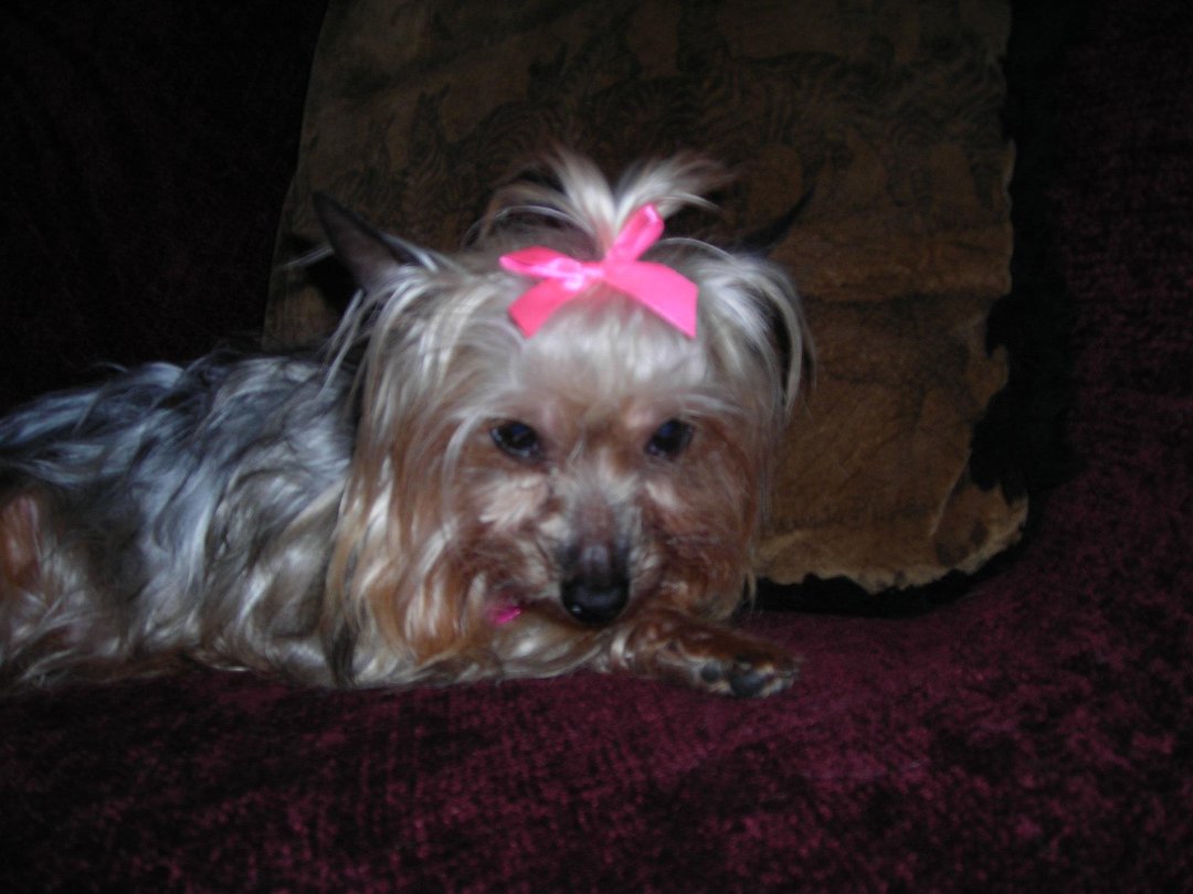 Connie Countryman's album, Sophie's 1st day home