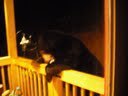 Gloria Storms' album, Timeline Photos