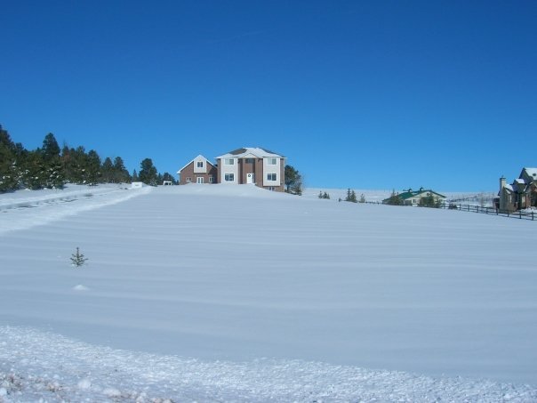 Robert Large's album, Pictures 2008