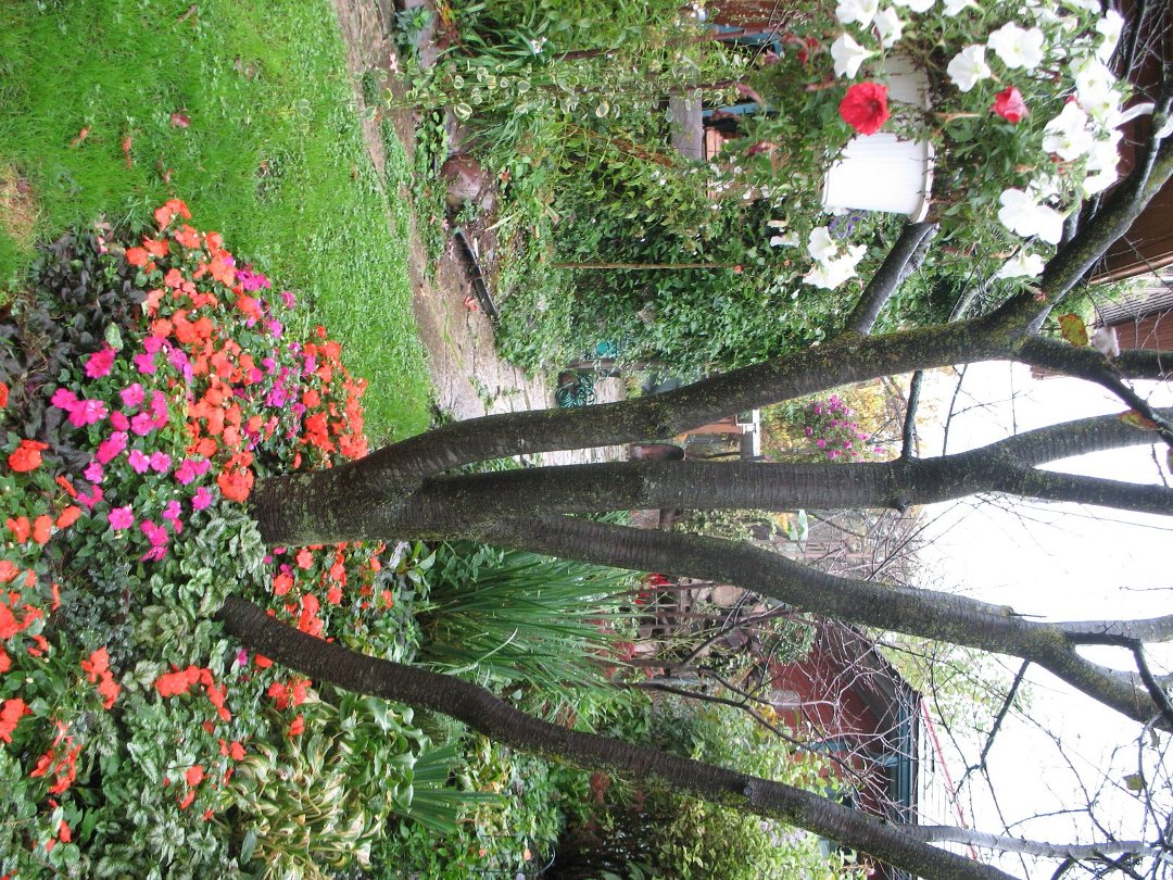 cheryl hoskinson's album, October 21, 2011