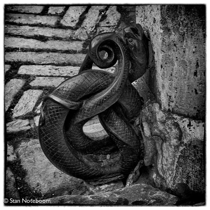 Stan Noteboom's album, 500px Photos