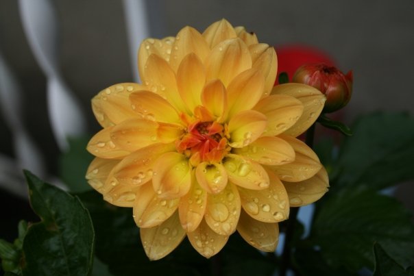Greg Glenn's album, Greg Glenn's Photos