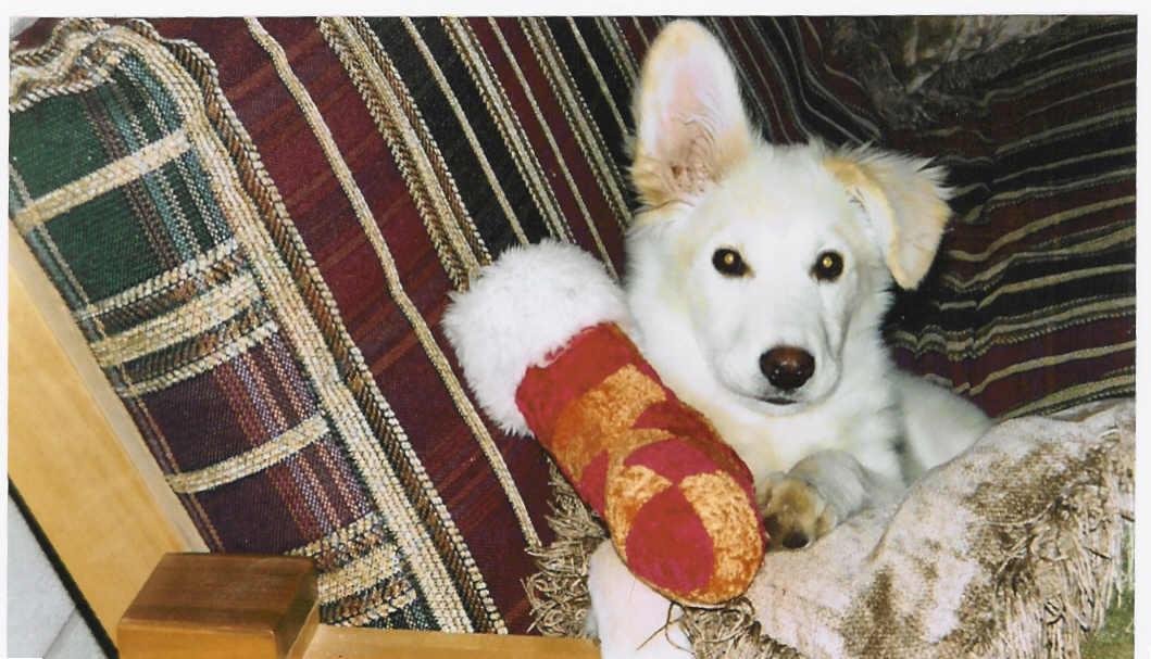 Sharon Roth's album, Profile Pictures