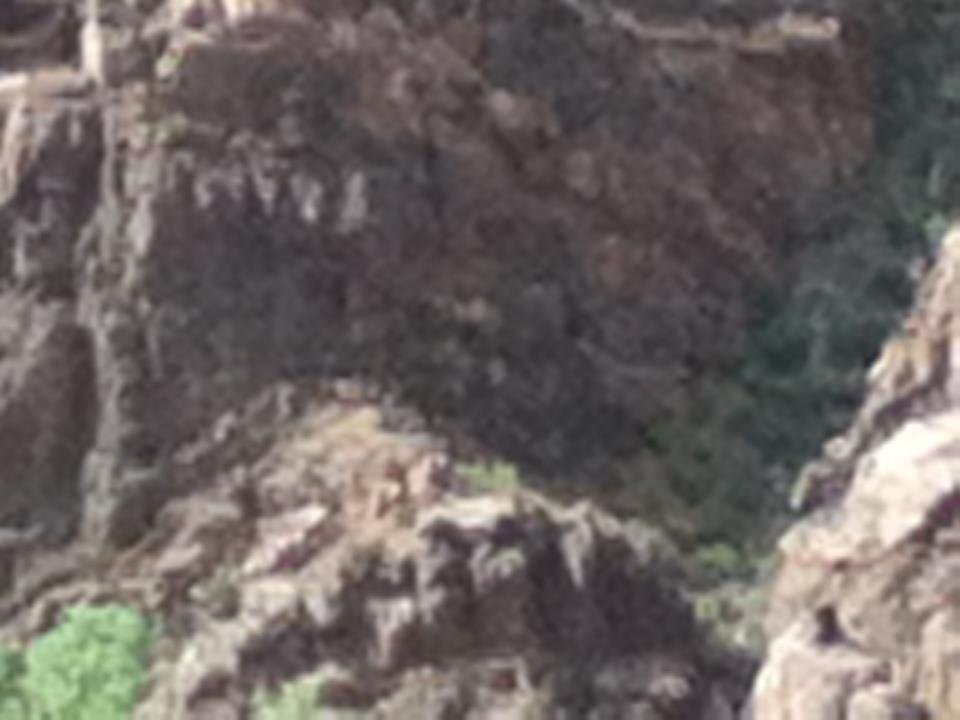 Paul Nicks' album, Royal gorge
