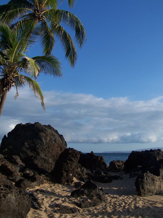 Ray Garza's album, Island Wide