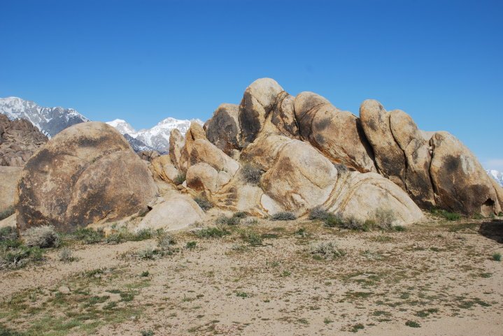 Robert Todd's album, lone Pine