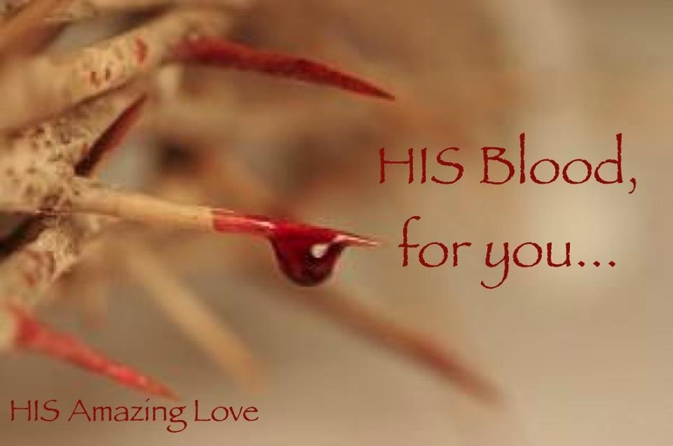 Stacy Schroeder's album, Cover Photos