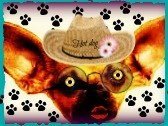 Barbara Bennett's album, Timeline Photos