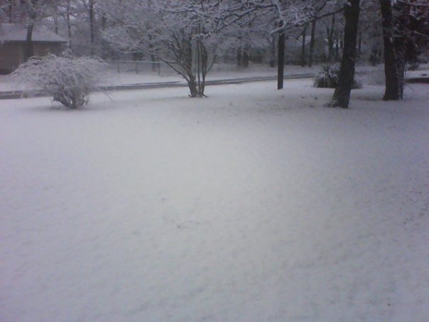 Calvin Lilly's album, Feb 2010 SNOW