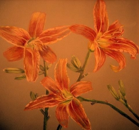 Jan Cline's album, Cover Photos