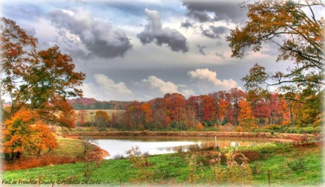 Ruth Ferguson's album, Cover Photos