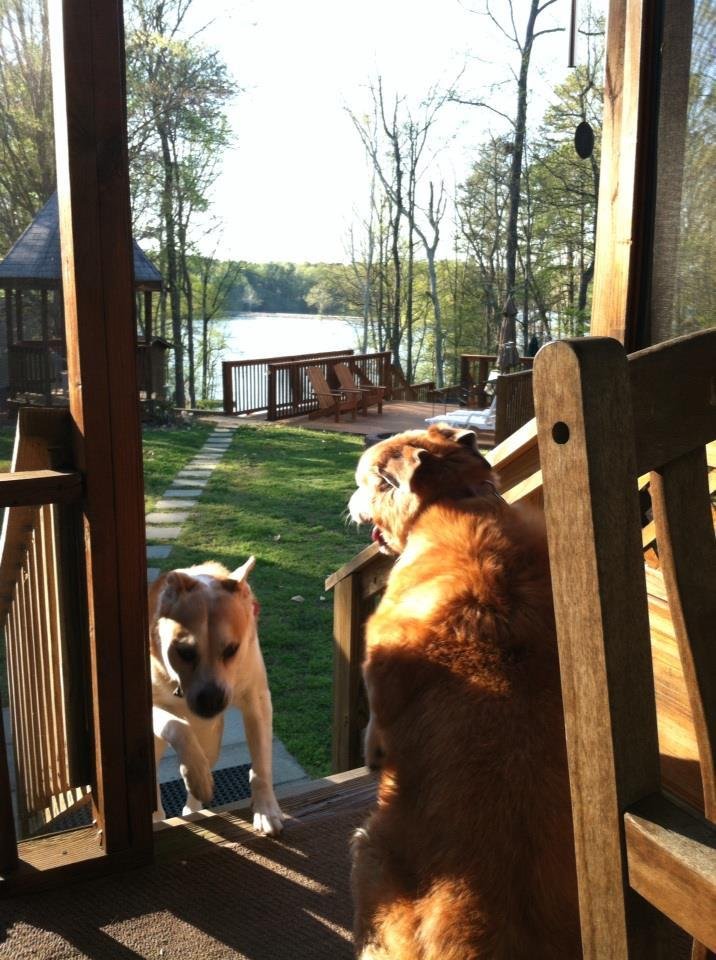 Joe Bass' album, iOS Photos