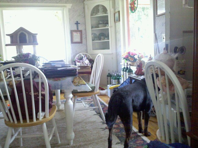 Diane Ballou's album, Mobile Uploads