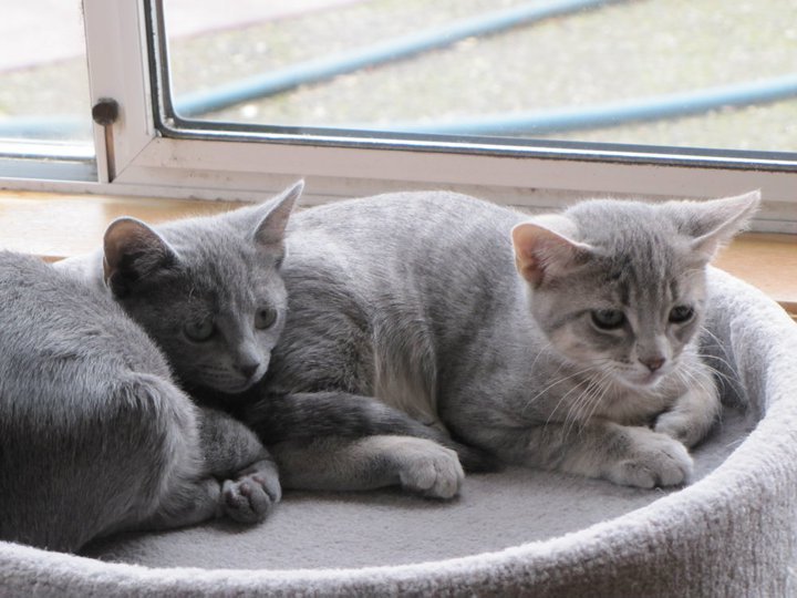 Carol Coonradt's album, February 15, 2011