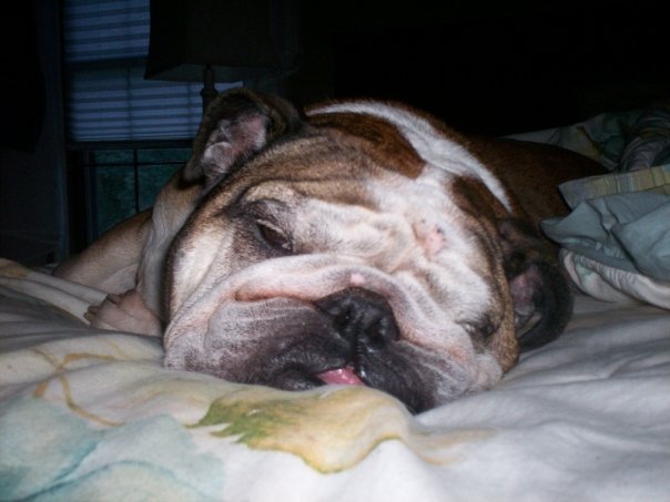 Michael Becker's album, Elliot