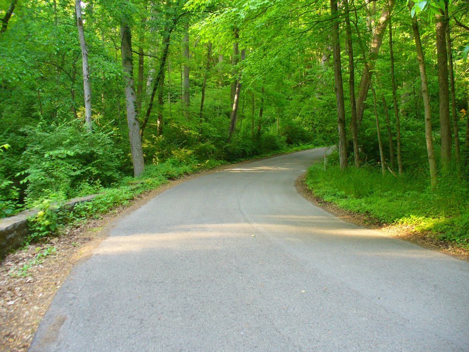 Jane Howard's album, John Bryan State Park, Clifton Gorge and Glen Helen