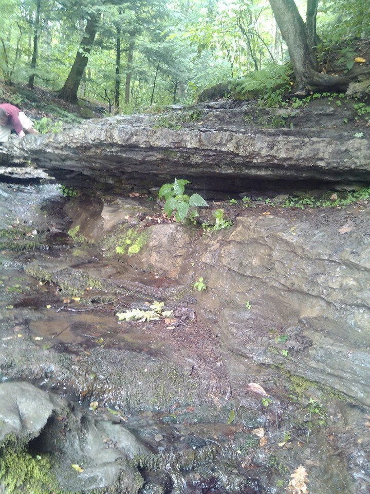 Edward Tryon's album, Tinkers Falls, NY