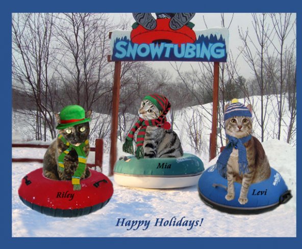 Jill Bartikowsky's album, Cover Photos