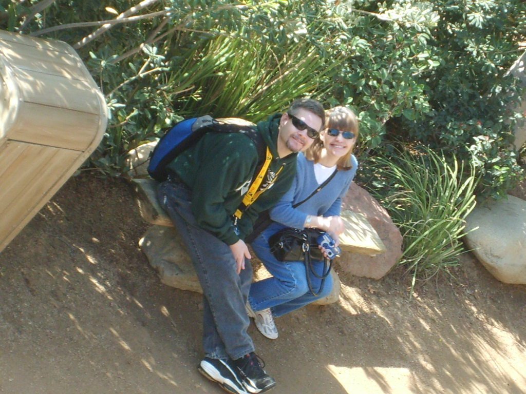 Terri Parsons' album, Profile Pictures