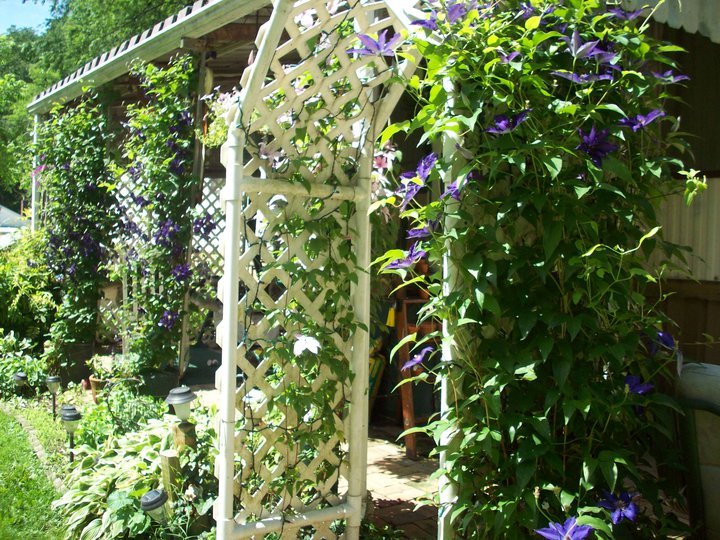 Paula Chevalier's album, My Patio