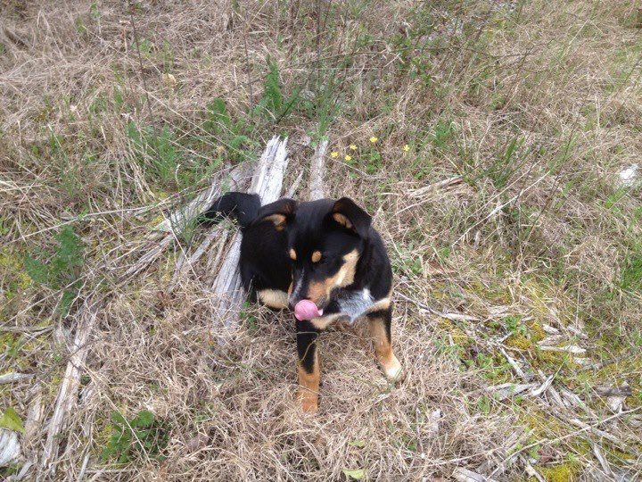 Mark Cagle's album, iOS Photos