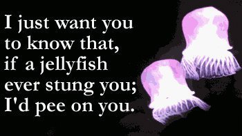 Kathleen Johnsrude's album, Timeline Photos