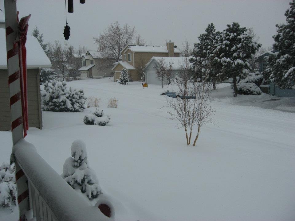 Tami Roberts' album, Christmas snow