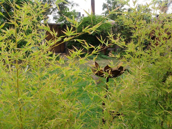 Bob Raymond's album, Bamboo