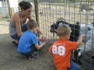 Nancy Applegate's album, Great grand kids playing