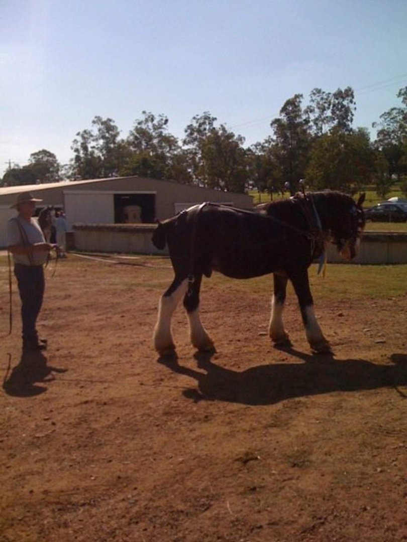Christopher Olin's album, Gatton2010
