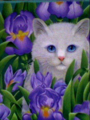 Donna Muller's album, Profile Pictures