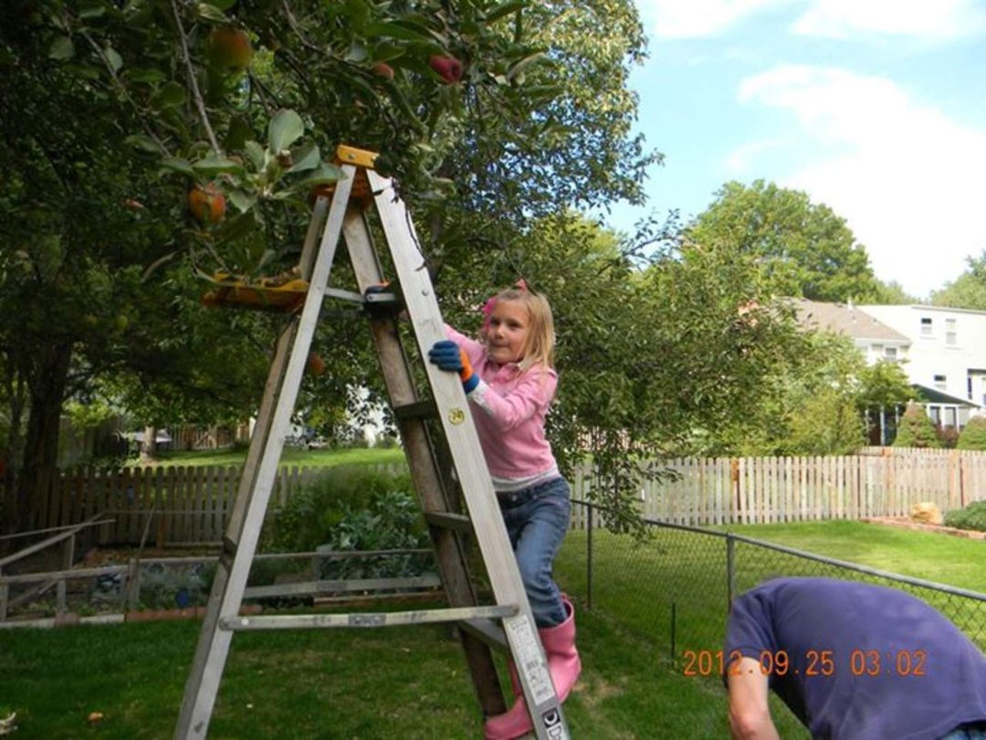 Mike Jones' album, Apple Picking Time