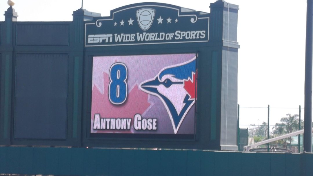 Brad Stevens' album, blue jays vs braves