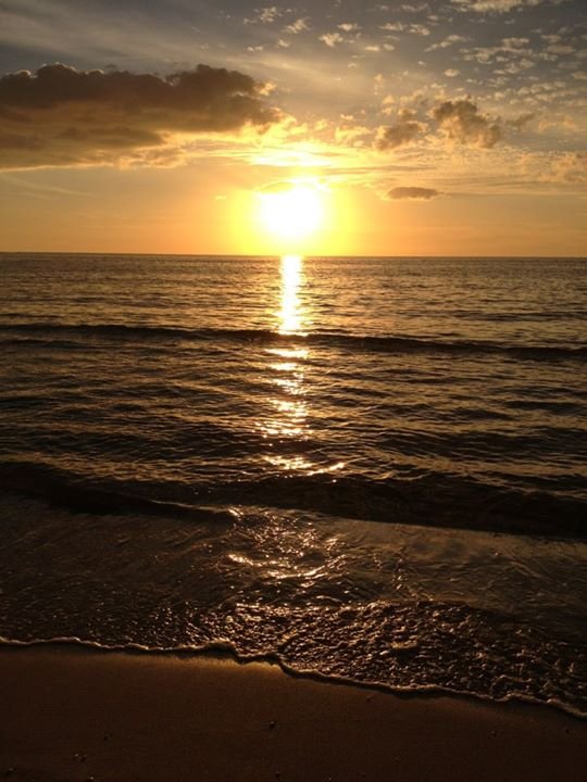 Sherry Robinson's album, Mobile Uploads