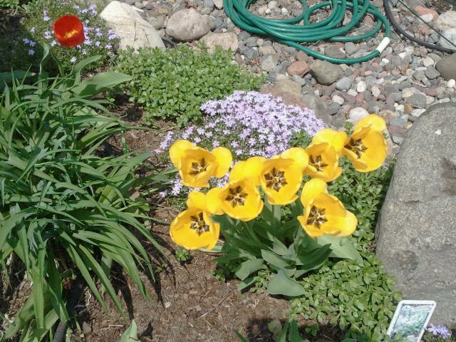 Kathi Blakely's album, Mobile Uploads