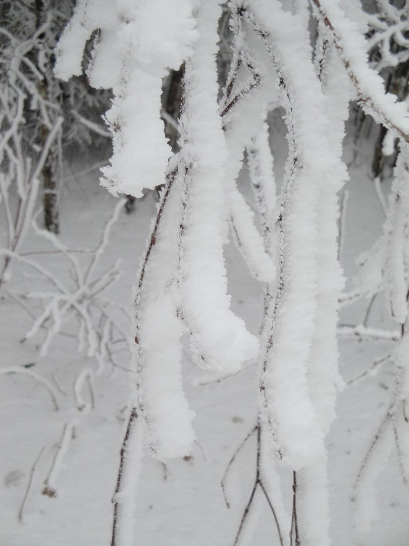 Debi Colee's album, Cold weather fun