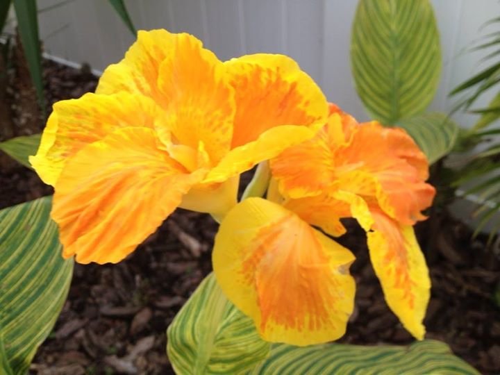 Arlene Rutski's album, iOS Photos