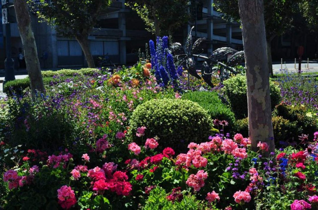 Donna Rutherford's album, San Francisco 2010