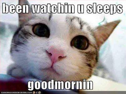 Loretta Cluf's album, Timeline Photos