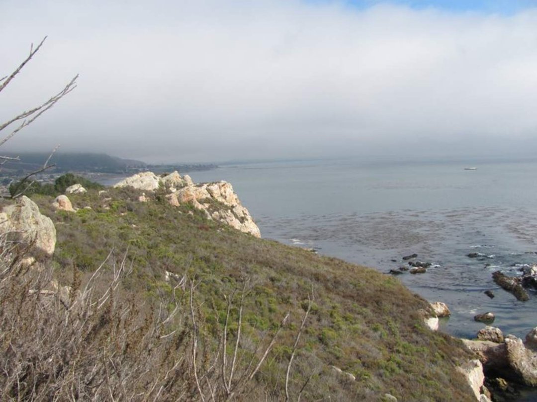 Scott Minnoch's album, central coast pics